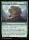 Grow from the Ashes (Foil) (Foundations #225)