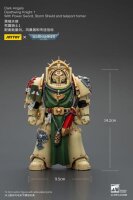 Warhammer 40,000 Actionfigur Dark Angels Deathwing Knight...