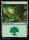Forest (Foil) (Foundations #281)