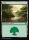 Forest (Foil) (Foundations #280)