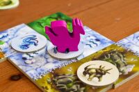 Pegasus Spiele – Dragomino *Kinderspiel des Jahres 2021*