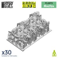 GreenStuffWorld Monstera Pflanzen