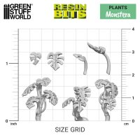 GreenStuffWorld Monstera Pflanzen