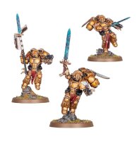 Warhammer 40K Combat Patrol Blood Angels