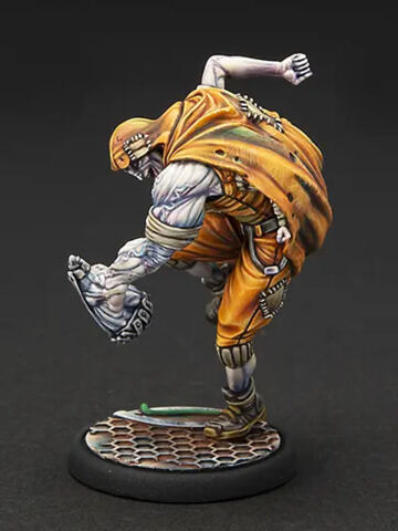 Freebooter Fate Ascending Fate: Specialist Murfs VitOR