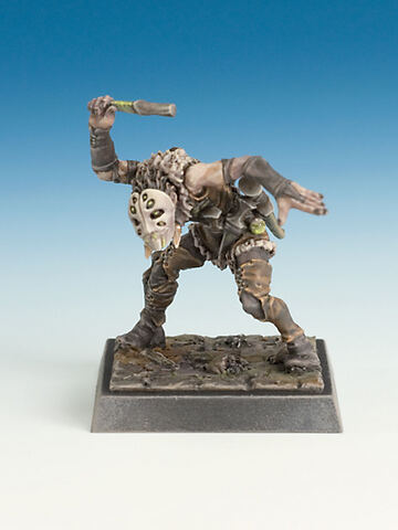 Freebooter Fate Fith Aarch