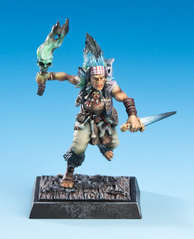 Freebooter Fate Heler le Lute
