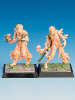 Freebooter Fate Nebelwölfe