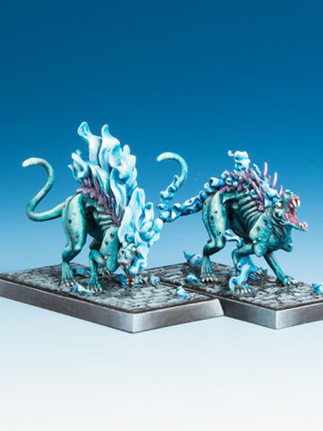 Freebooter Fate Chupa Cabras (2)