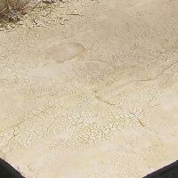 AK Interactive Light & Dry Crackle Effects (100mL) (Acrylic) (AK-8033)