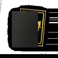 DS100 Matte Dual - Black & Gold